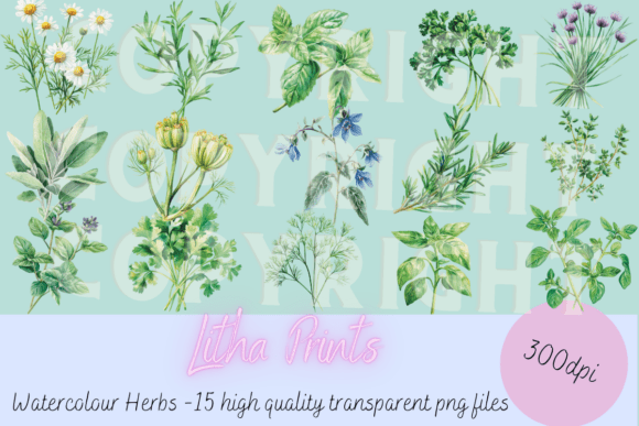 Watercolour Herbs: A Designer's Guide to Botanical Elegance